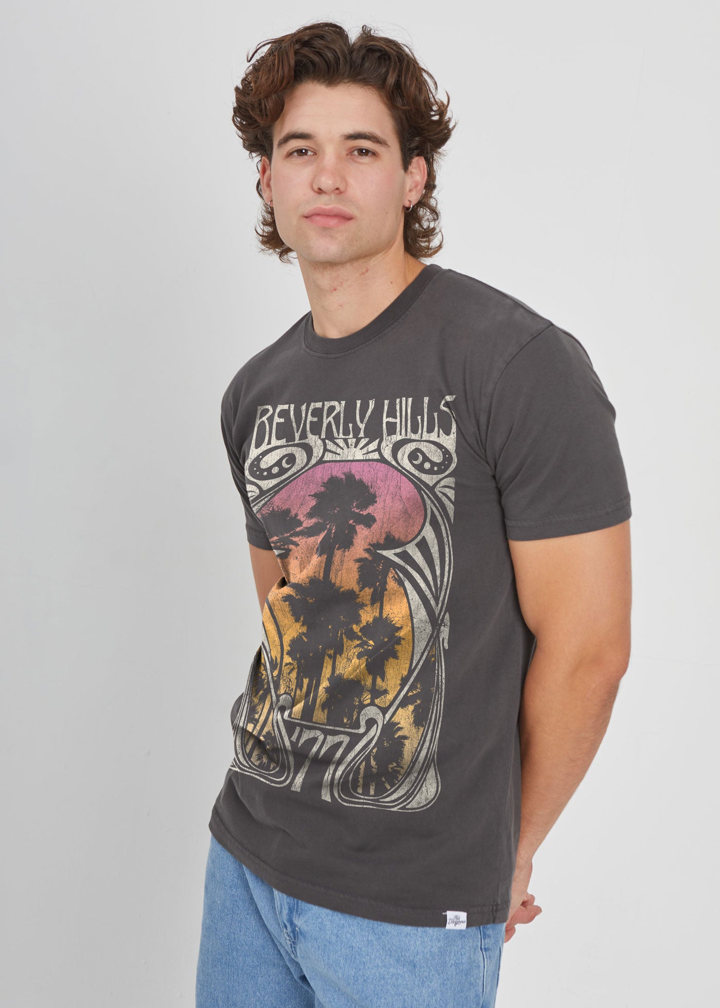 Beverly Hills 77 Men's Faded Black T-Shirt