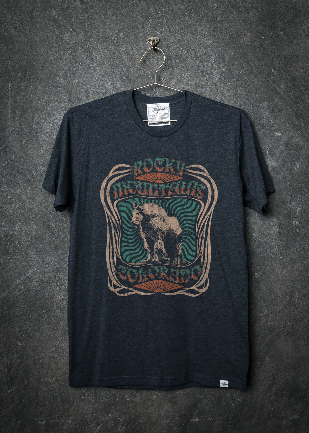 Rocky Mountains T Shirt National Park Vintage Tee Cool Bear