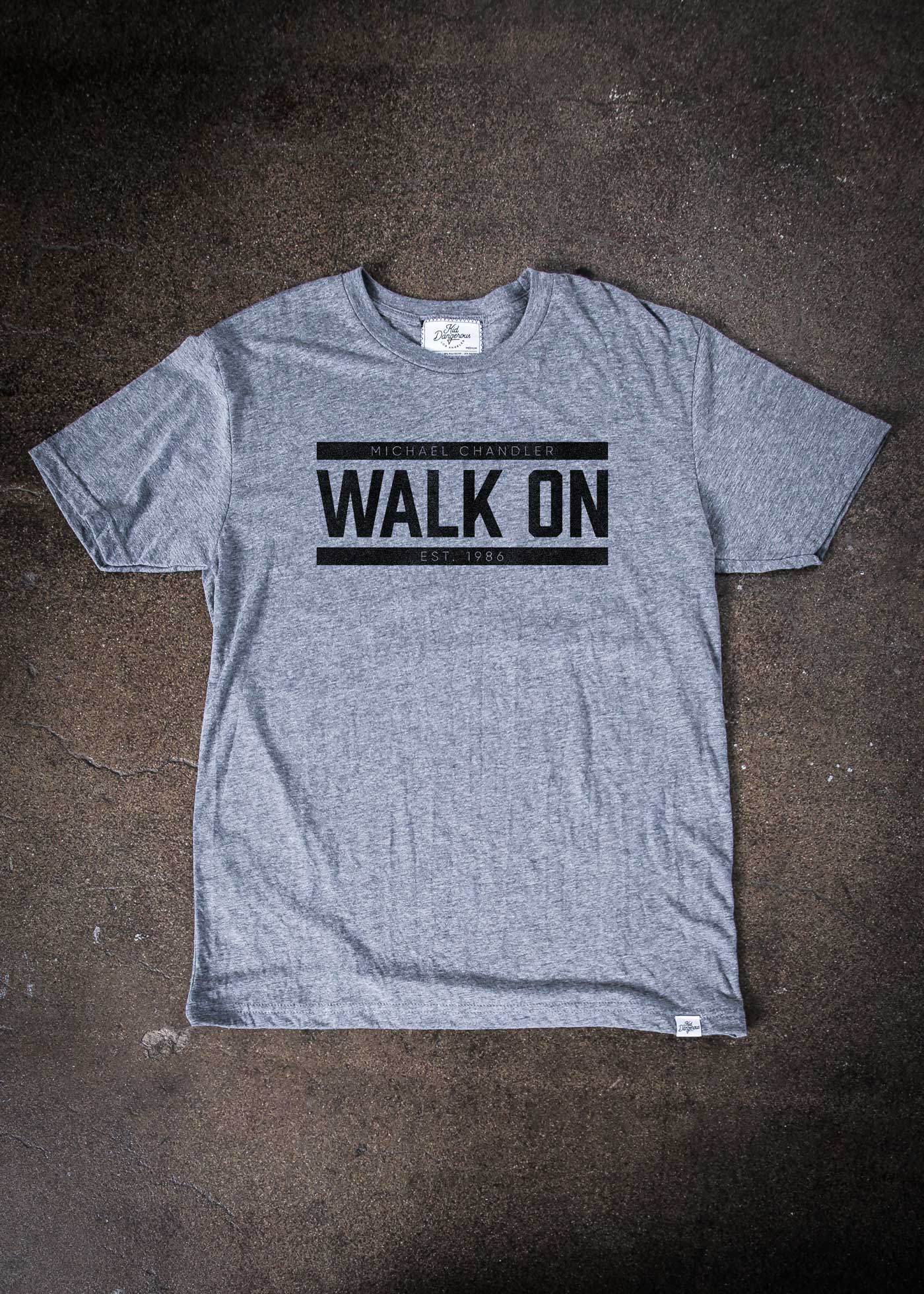 Walk On Stripes Heather Grey Classic T-Shirt